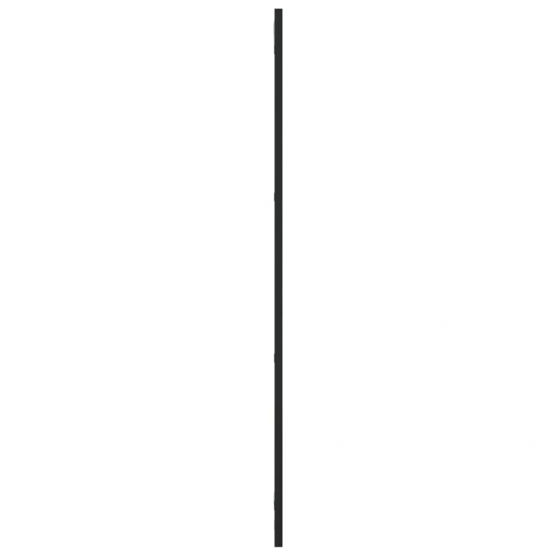 Wandspiegel Schwarz 30x100 cm Rechteckig Eisen