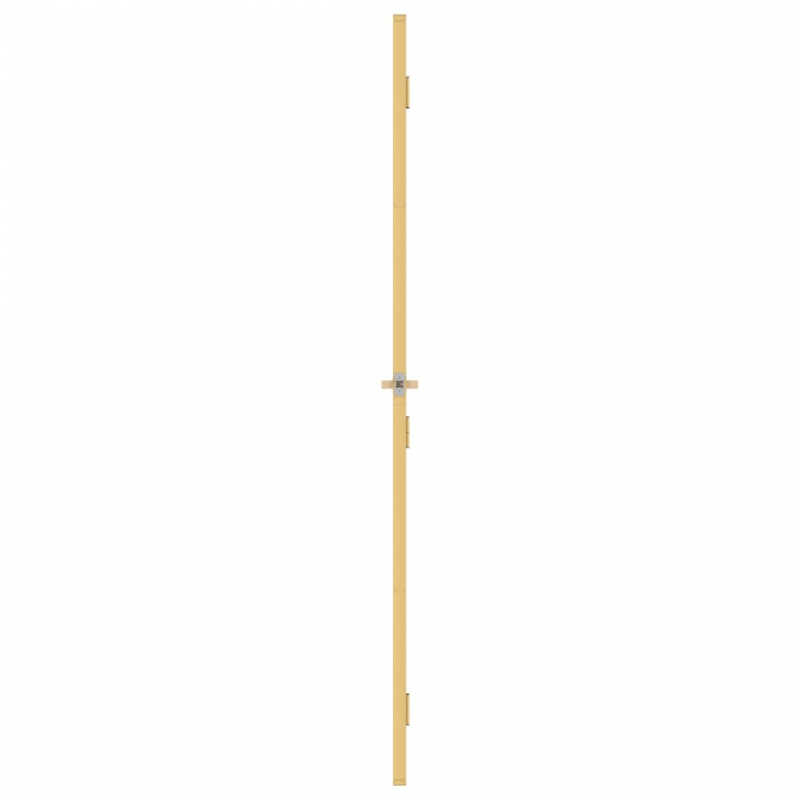 Innentür Schlank Golden 76x201,5 cm Hartglas und Aluminium