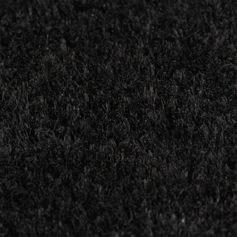 Fußmatte Schwarz 100x300 cm Kokosfaser Getuftet