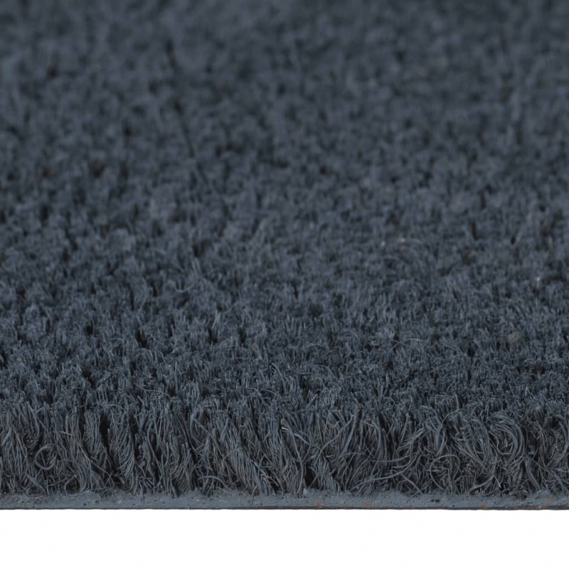 Fußmatte Dunkelgrau 100x300 cm Kokosfaser Getuftet