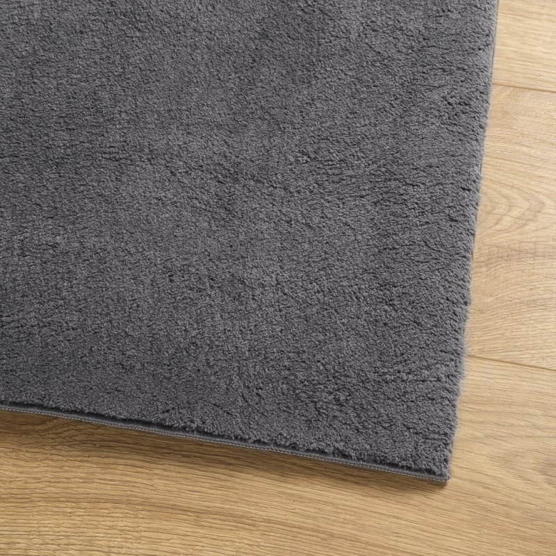 Teppich HUARTE Kurzflor Weich und Waschbar Anthrazit 160x230 cm