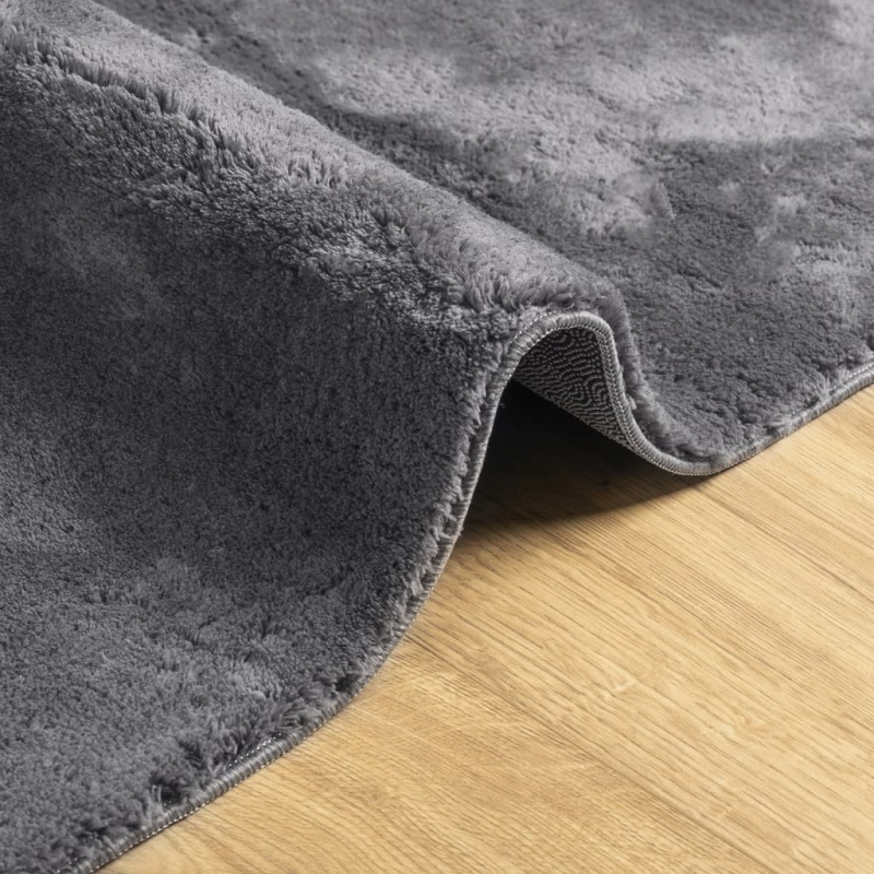 Teppich HUARTE Kurzflor Weich und Waschbar Anthrazit 160x230 cm