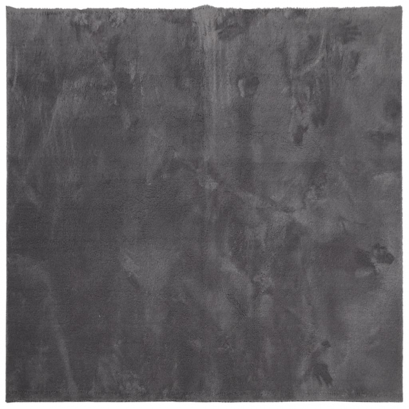 Teppich HUARTE Kurzflor Weich und Waschbar Anthrazit 240x240 cm