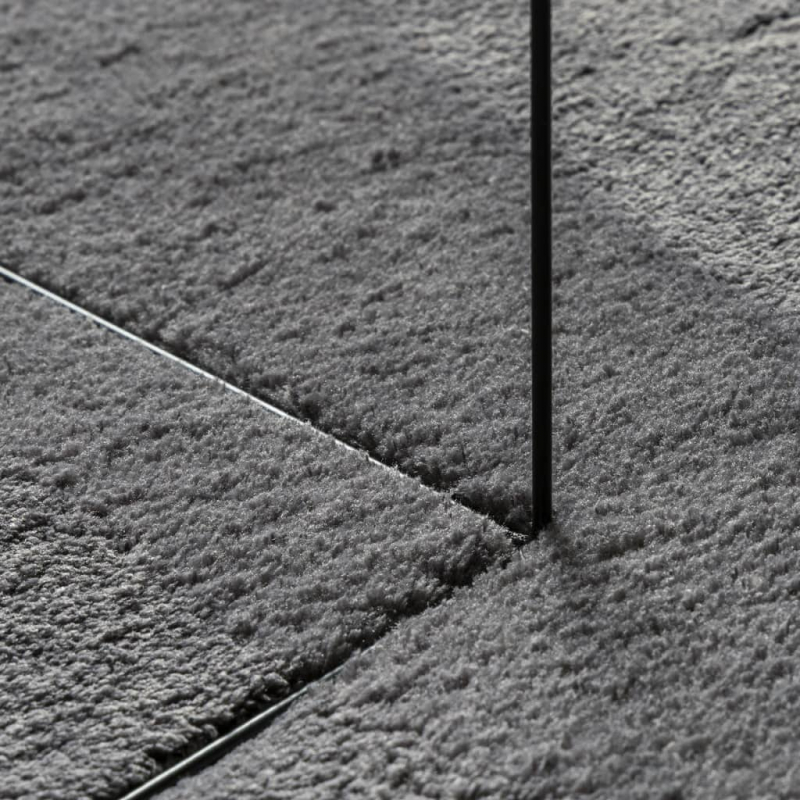 Teppich HUARTE Kurzflor Weich und Waschbar Anthrazit Ø 160 cm