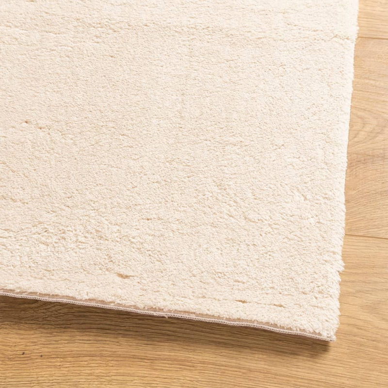 Teppich HUARTE Kurzflor Weich und Waschbar Beige 80x150 cm