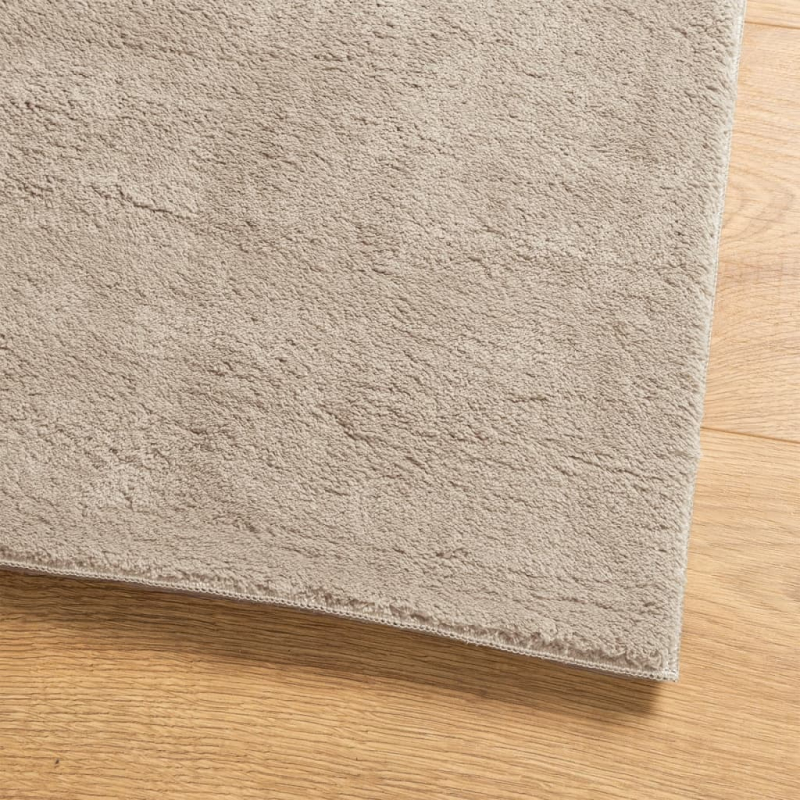 Teppich HUARTE Kurzflor Weich und Waschbar Sandfarben 80x250 cm