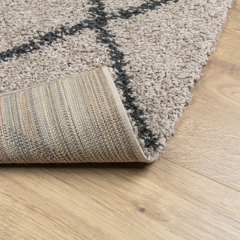 Teppich Shaggy Hochflor Modern Beige und Anthrazit 160x230 cm