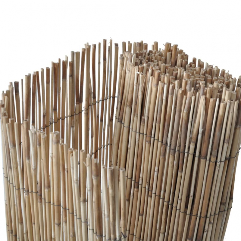 Gartenzaun 600x100 cm Schilf