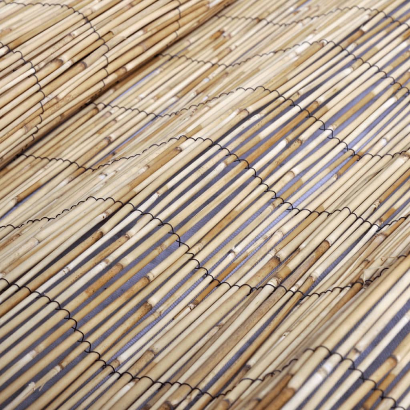 Gartenzaun 600x100 cm Schilf