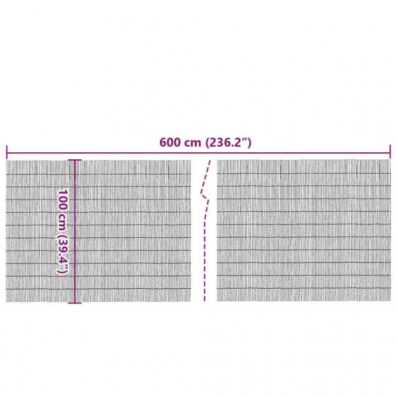 Gartenzaun 600x100 cm Schilf