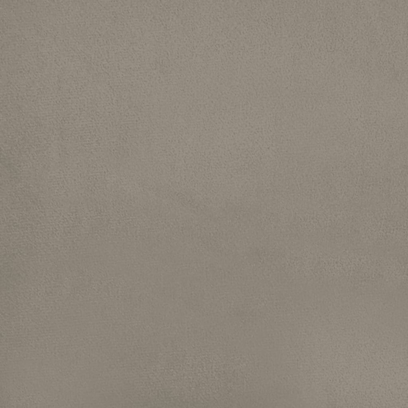 Schlafsofa 2-Sitzer mit 2 Kissen Hellgrau Samt