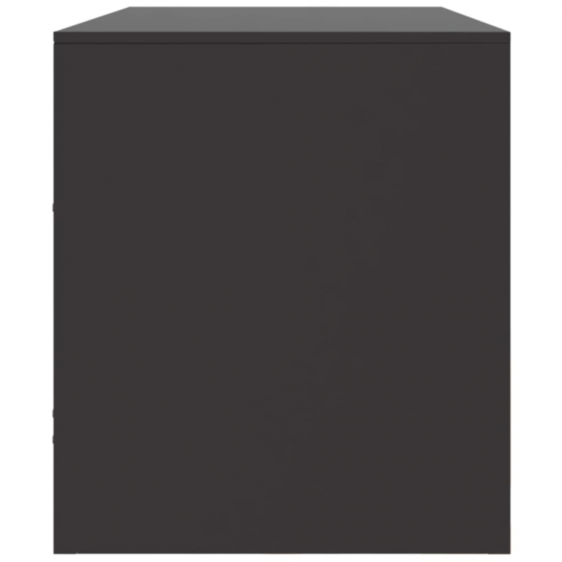 TV-Schrank Schwarz 99x39x44 cm Stahl