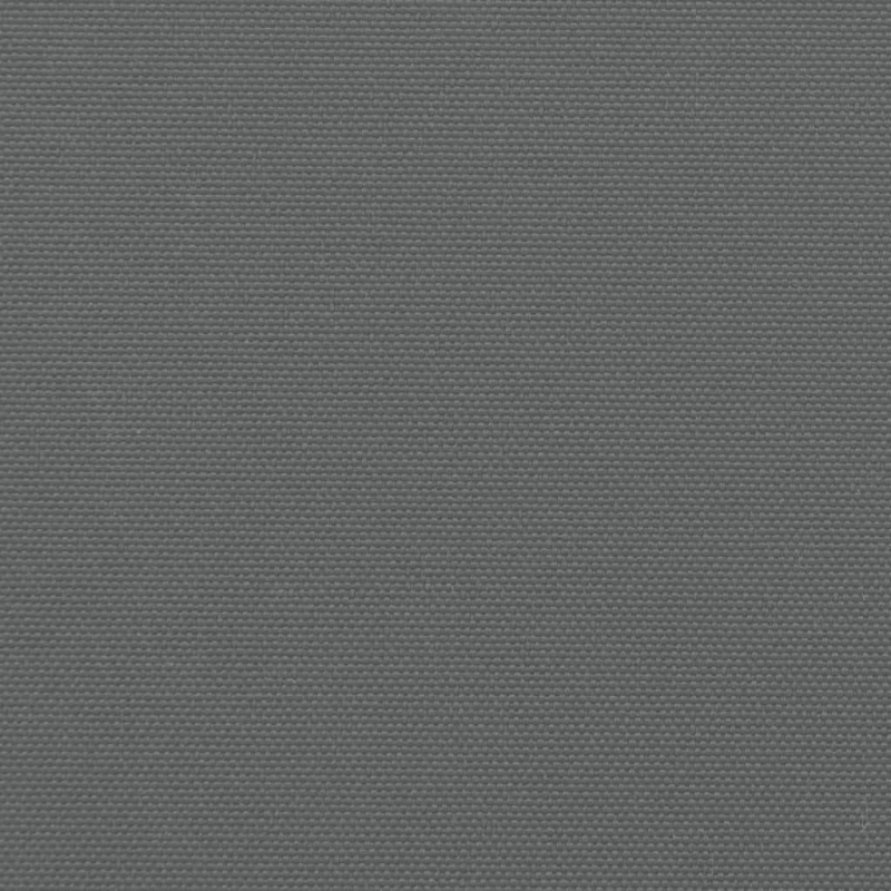 Seitenmarkise Ausziehbar Anthrazit 200x300 cm