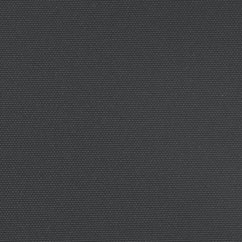 Seitenmarkise Ausziehbar Schwarz 120x600 cm