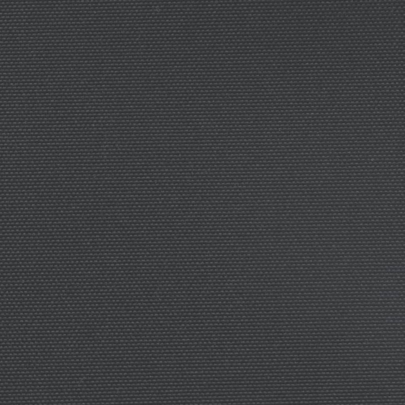 Seitenmarkise Ausziehbar Schwarz 120x600 cm