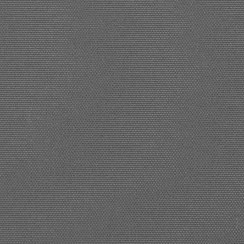 Seitenmarkise Ausziehbar Anthrazit 160x600 cm