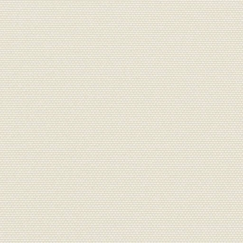 Seitenmarkise Ausziehbar Creme 100x1000 cm