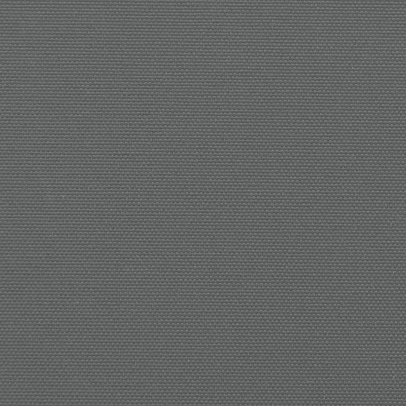 Seitenmarkise Ausziehbar Anthrazit 160x1000 cm