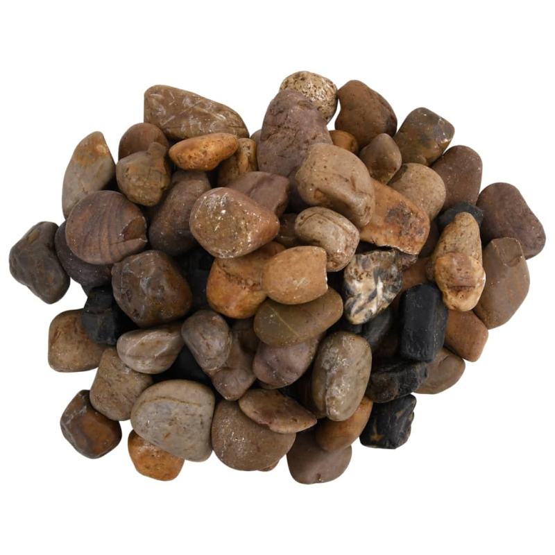 Polierte Kiesel 10 kg Mehrfarbig 2-5 cm