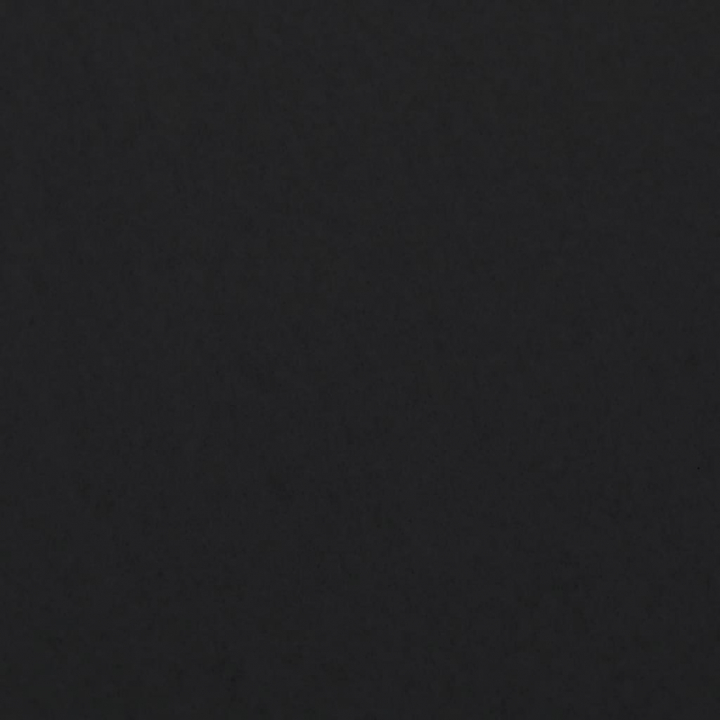 Geotextil-Vlies Schwarz 1x50 m Polyesterfaser
