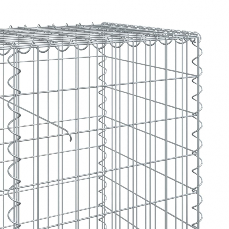 Gabione mit Deckel 700x50x100 cm Verzinktes Eisen