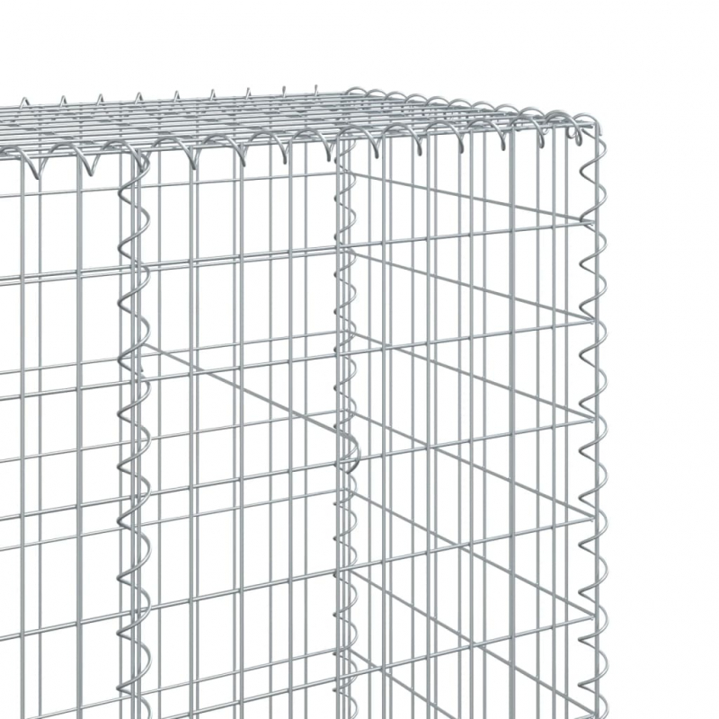 Gabione mit Deckel 500x50x200 cm Verzinktes Eisen