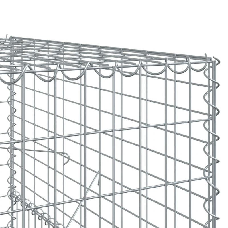 Gabione mit Deckel 100x100x150 cm Verzinktes Eisen