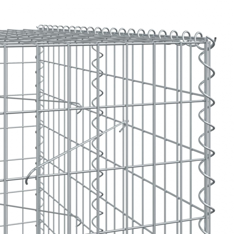 Gabione mit Deckel 200x100x200 cm Verzinktes Eisen