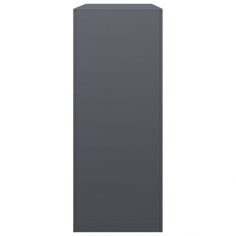 Brennholzregal Anthrazit 100x40x100 cm Stahl