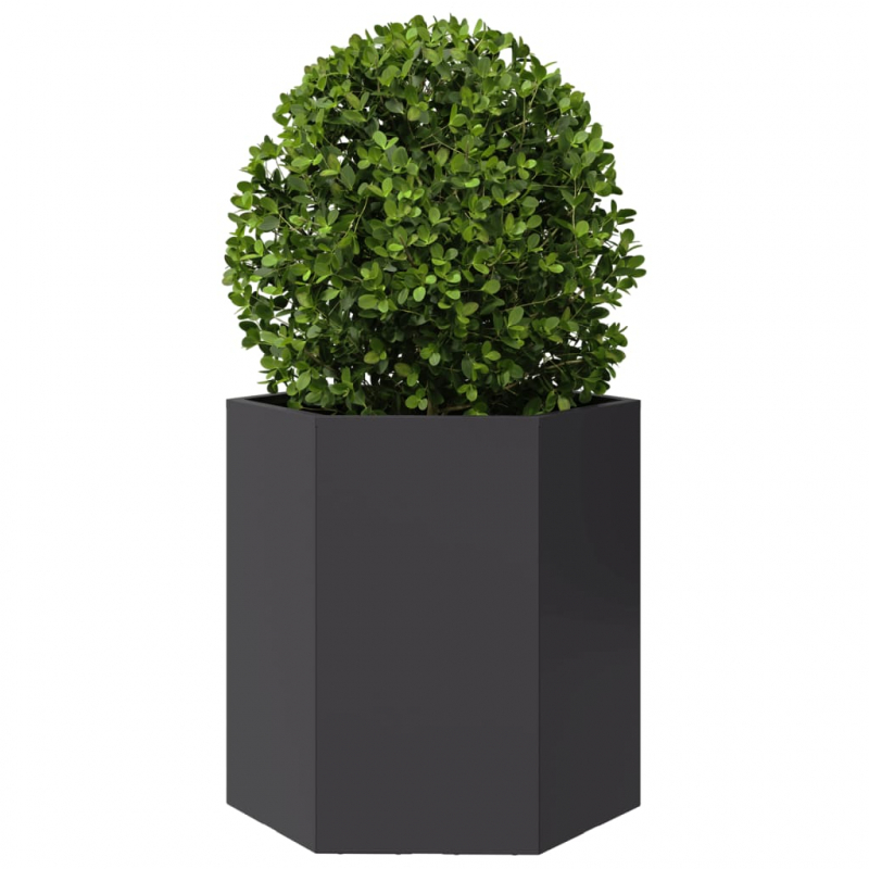 Garten-Pflanzgefäße 2 Stück Schwarz Sechseckig 46x40x45 Stahl