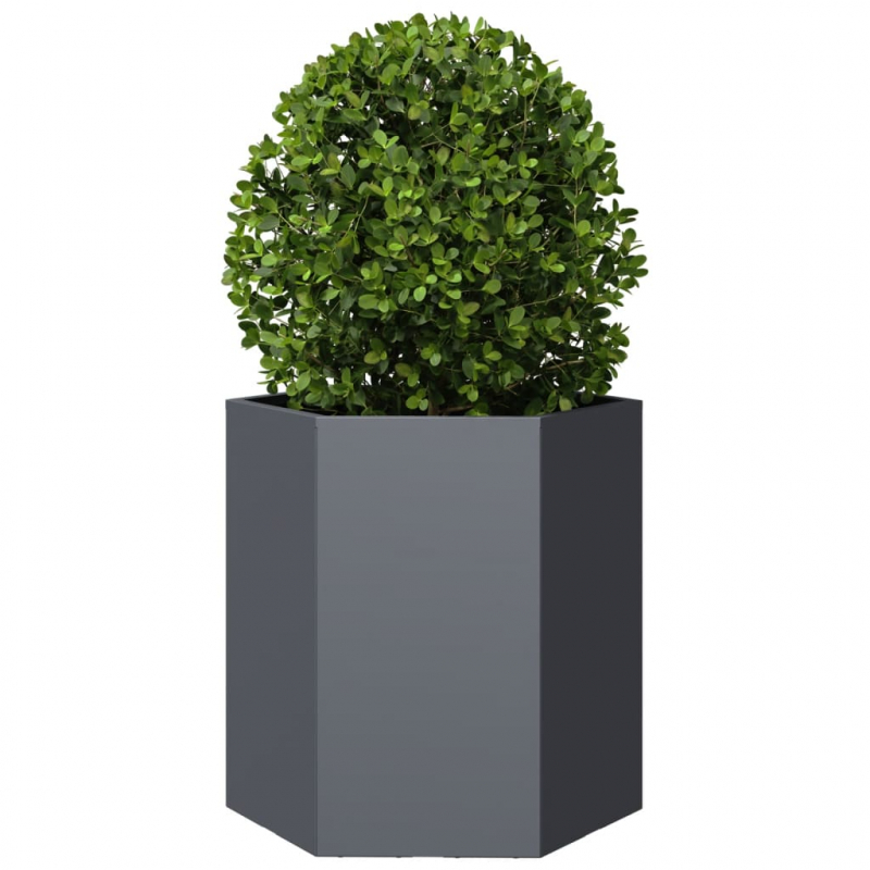 Garten-Pflanzgefäße 2 Stück Anthrazit Sechseckig 46x40x45 Stahl