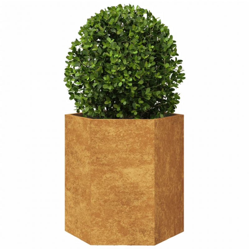Pflanzkübel 2 Stk. Sechseckig 46x40x45 cm Wetterfester Stahl