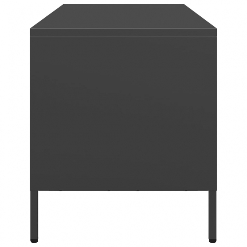 TV-Schrank Schwarz 101,5x39x43,5 cm Kaltgewalzter Stahl