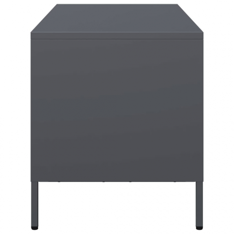 TV-Schrank Anthrazit 101,5x39x43,5 cm Kaltgewalzter Stahl