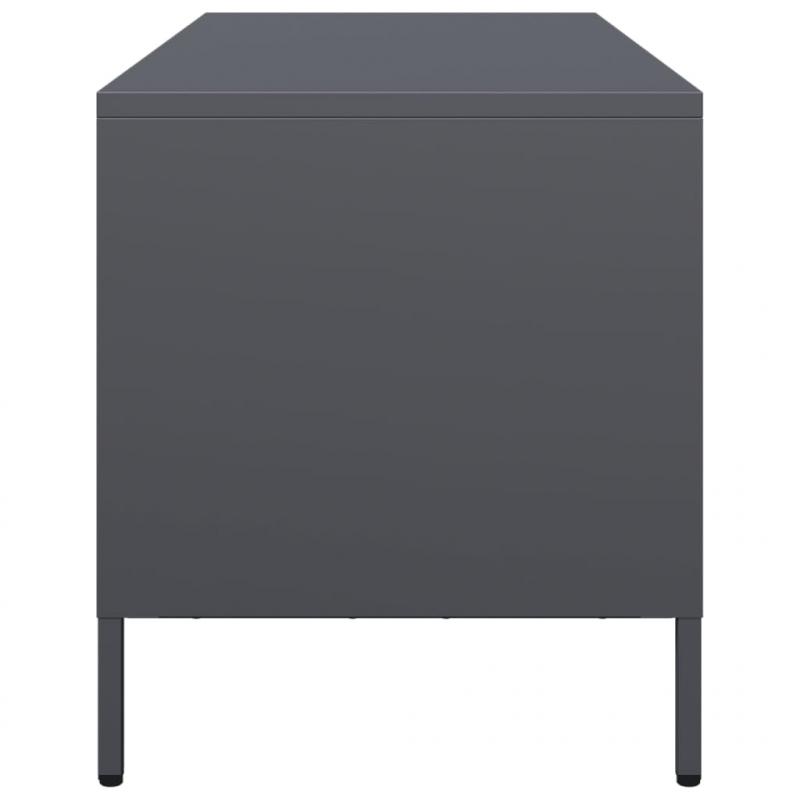 TV-Schrank Anthrazit 101,5x39x43,5 cm Kaltgewalzter Stahl