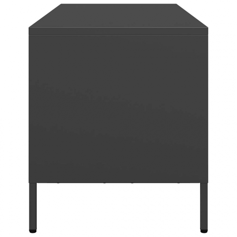 TV-Schrank Schwarz 101,5x39x43,5 cm Kaltgewalzter Stahl