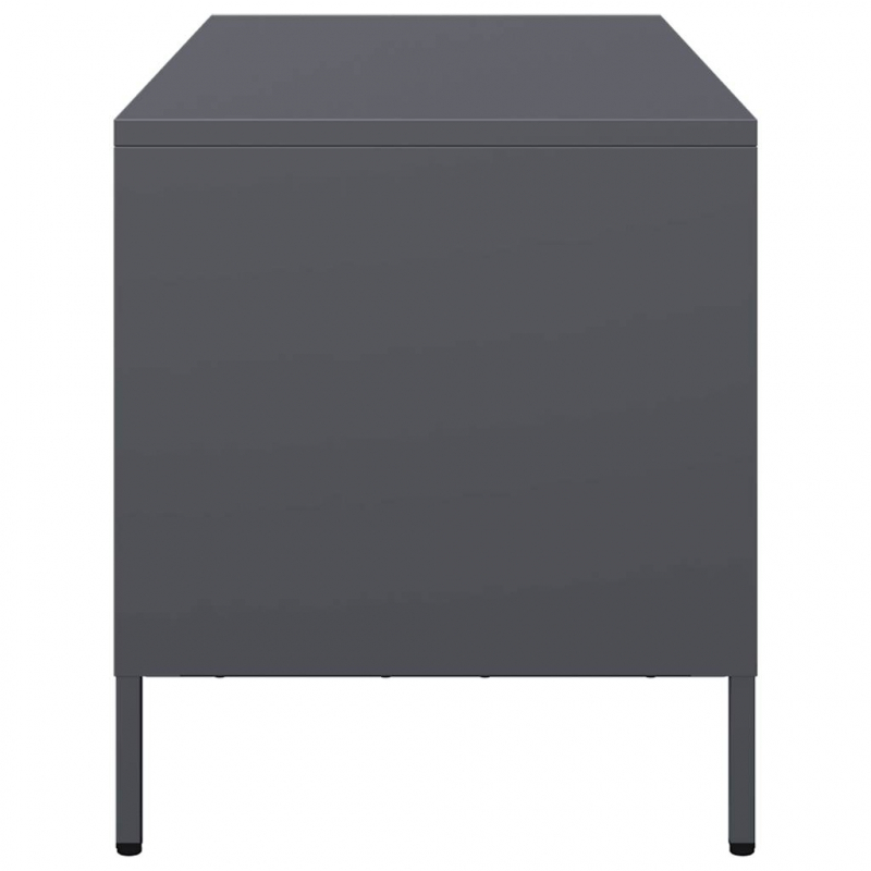 TV-Schrank Anthrazit 101,5x39x43,5 cm Kaltgewalzter Stahl
