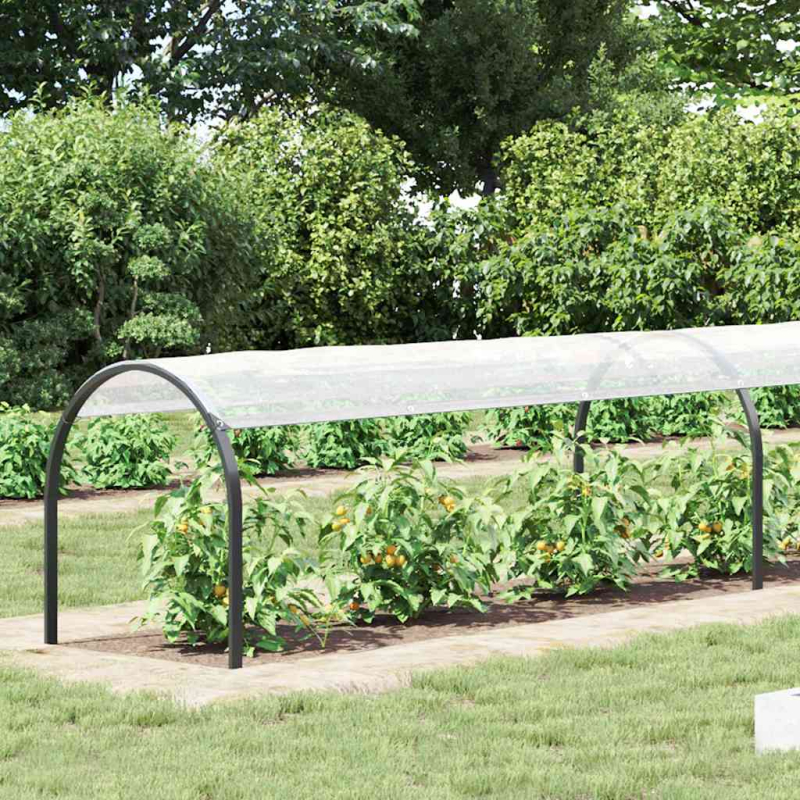 Transparente Plane mit Ösen 1x6 m Polyethylen