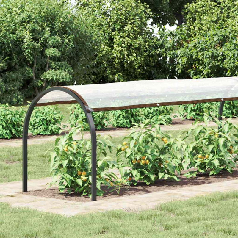 Transparente Plane mit Ösen 1x10 m Polyethylen