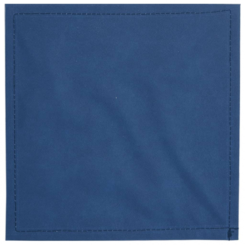 Faltboxen 10 Stk. Blau 32x32x32 cm Vlies