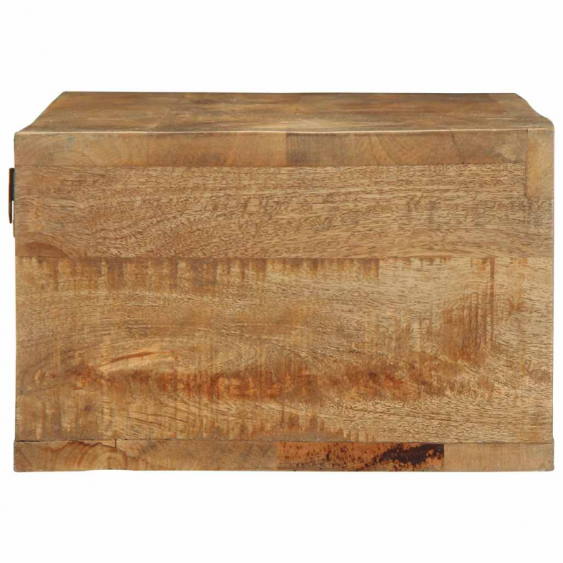 TV-Wandschrank 100x30x19 cm Raues Mangoholz