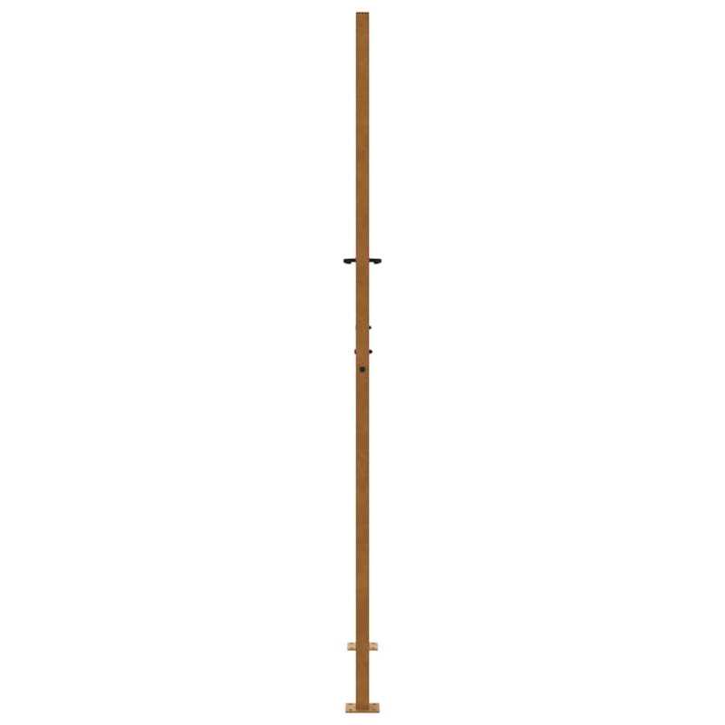 Gartentor 105x205 cm Wetterfester Stahl Flammen-Design