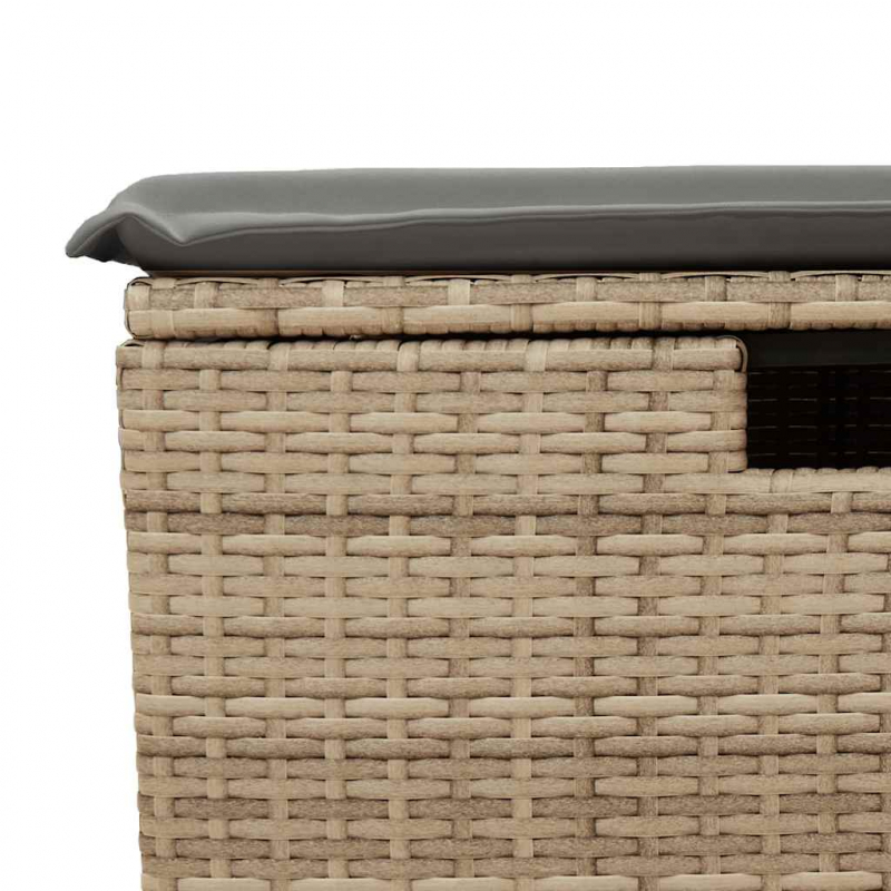 2-tlg. Garten-Sofagarnitur mit Kissen Beige Poly Rattan Akazie