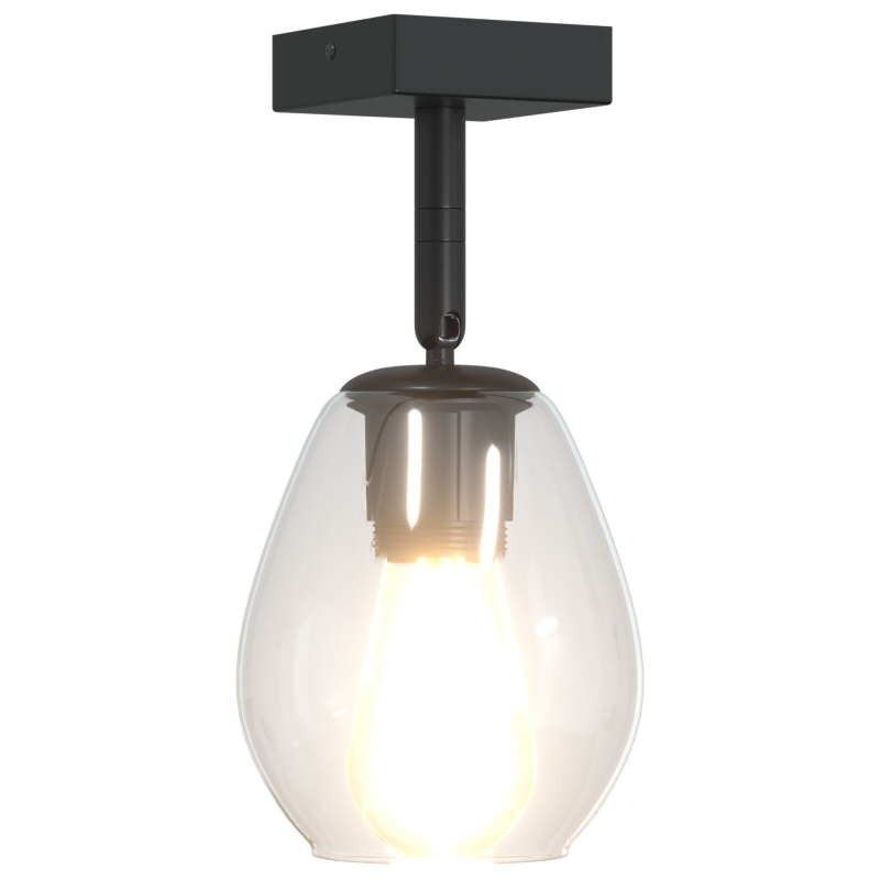 Deckenleuchten mit verstellbarem Glaslampenschirm Anthrazit E27