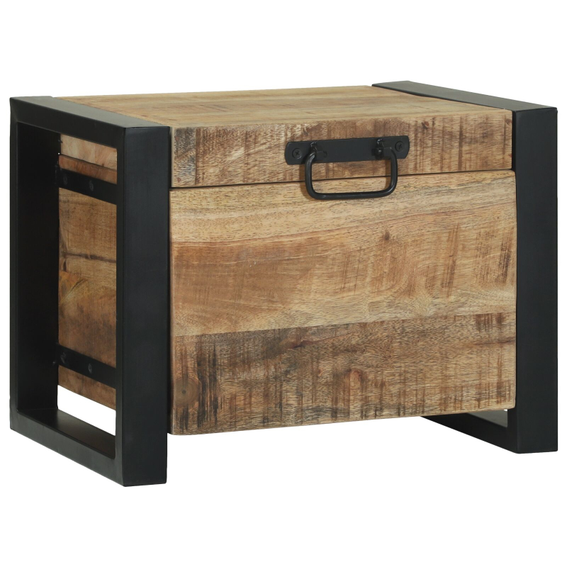 Lagertruhen 40x30x30cm aus massivem Mango-Holz und Metall