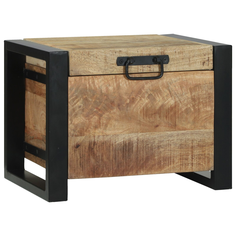 Lagertruhen 40x30x30cm aus massivem Mango-Holz und Metall