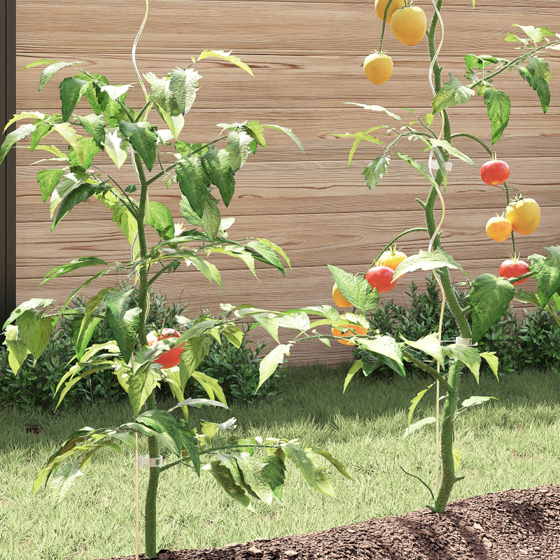 Spiralpflanzenstützen 50 Stück 150 cm aus verzinktem Stahl
