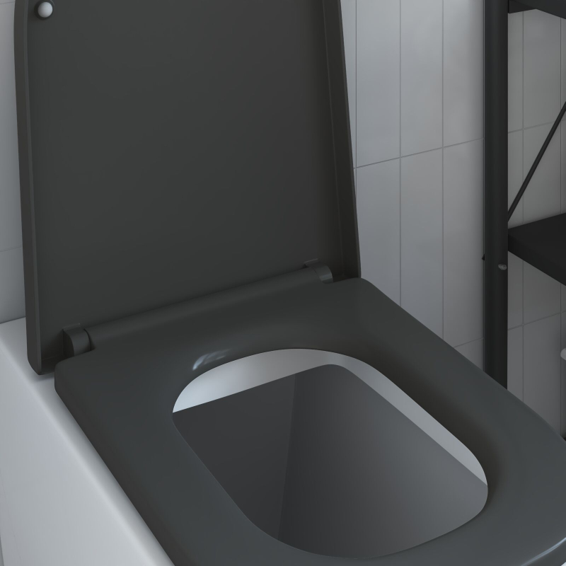 Toilettensitz mit Schnellverschluss und sanftem Schließen Duroplast Anthrazit