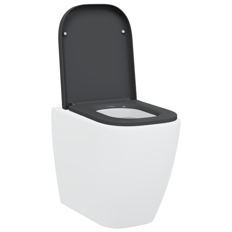 Toilettensitz mit Schnellverschluss und sanftem Schließen Duroplast Anthrazit