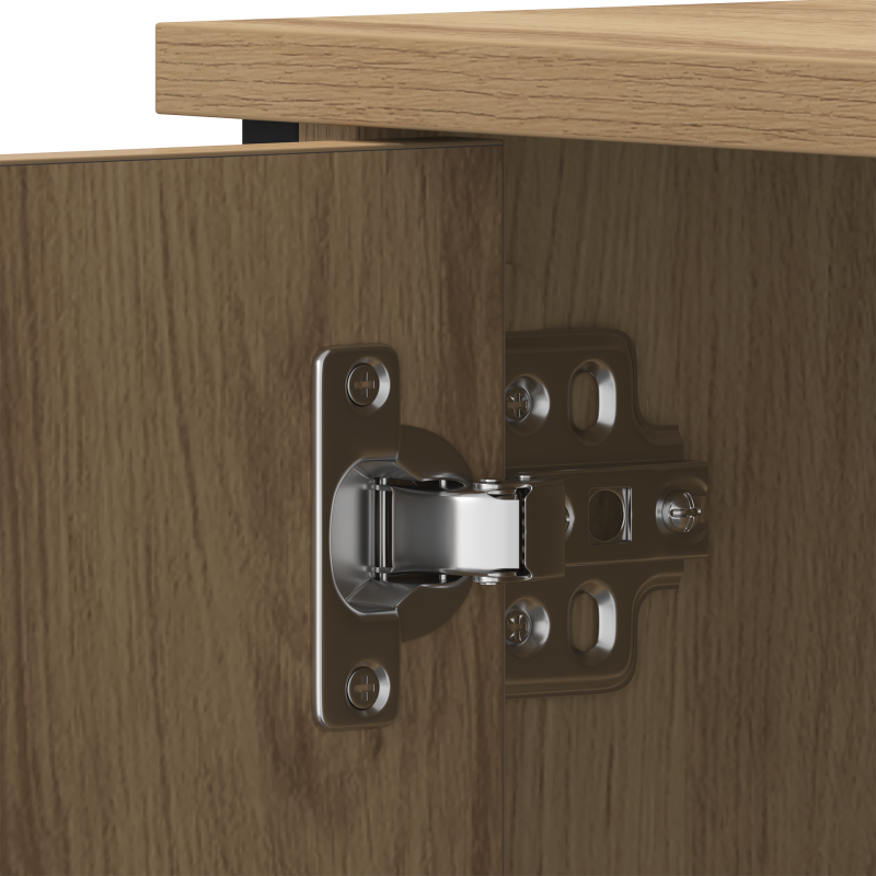 TV-Schrank Artisan Eiche 80x40x50 cm Holzwerkstoff und Stahl